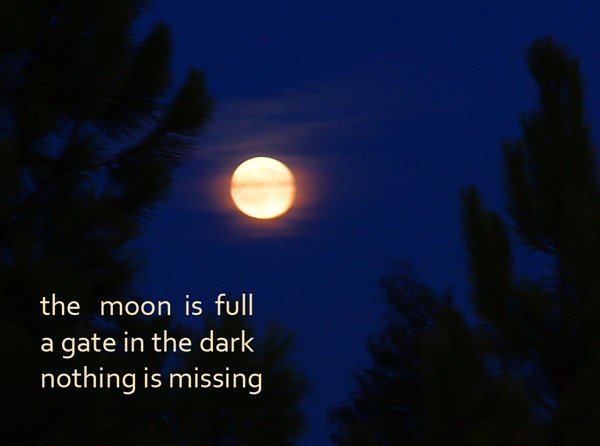 the moon is full, a gate in the dark, nothing is missing